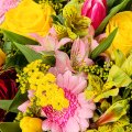 Roses, gerberas and tulips