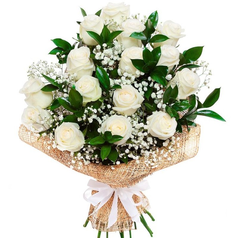 Magical white Roses